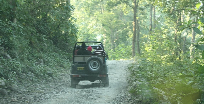 Sitabani reserve forest Corbet